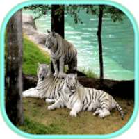 Animal wallpapers