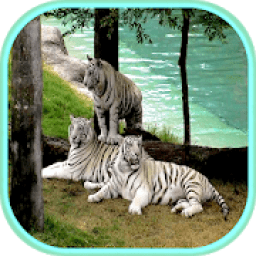 Animal wallpapers आइकन