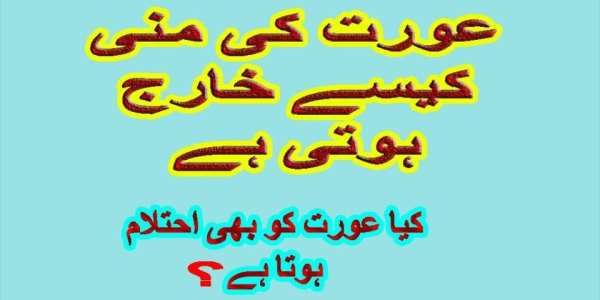 Aurat Ki Mani screenshot 5
