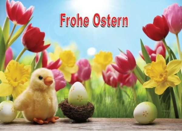 Frohe Ostern Bilder 2020 screenshot 6