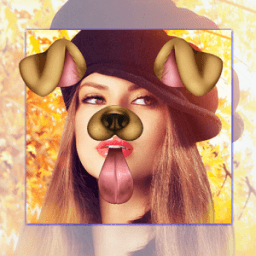 Insta Square Photo आइकन