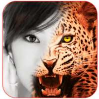 Animal Face Morphing Maker