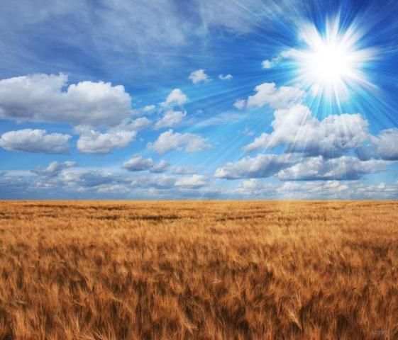 WeatherForeCast 4 تصوير الشاشة