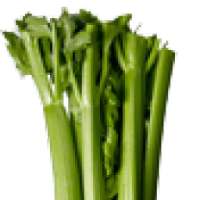 Celery Facts on 9Apps