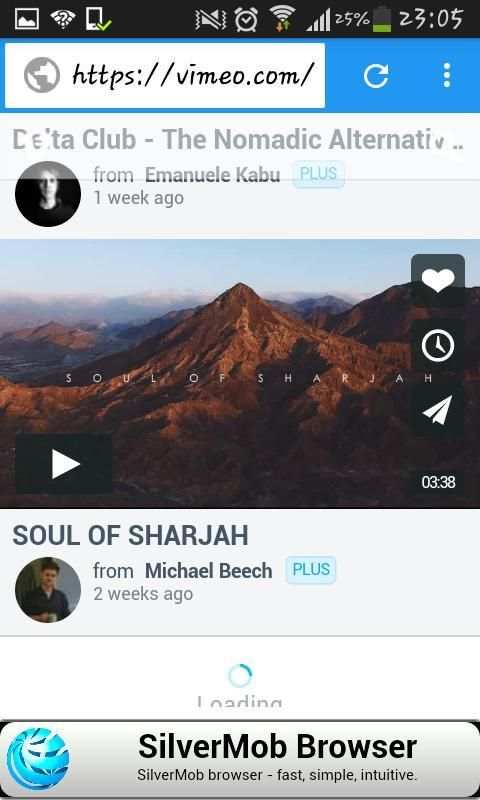 Videoflix downloader screenshot 2