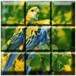 Funny Birds Couple icon