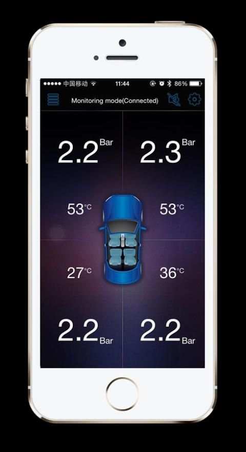 TPMS CDP screenshot 2