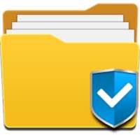 Safe File Manager