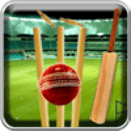 T20 Викторина иконка