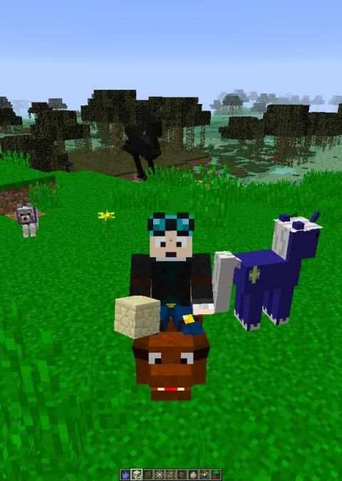 Pets Mod Pro - for Minecraft screenshot 1