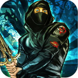 Ninja Assassin : Castle Heroes أيقونة