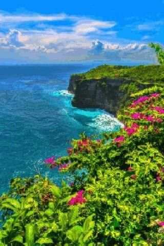 Flower Beach Live Wallpaper 1 تصوير الشاشة