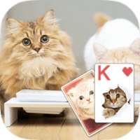 Solitaire Lovely Cats Theme on 9Apps