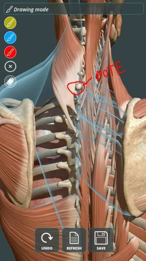 Visual Anatomy 3D | Human स्क्रीनशॉट 12