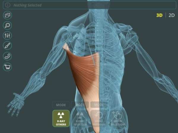 Visual Anatomy 3D | Human स्क्रीनशॉट 5
