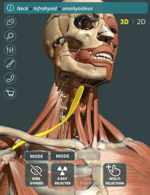 Visual Anatomy 3D | Human स्क्रीनशॉट 13