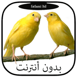 أجمل أصوات طائر الكناري ولحسون иконка
