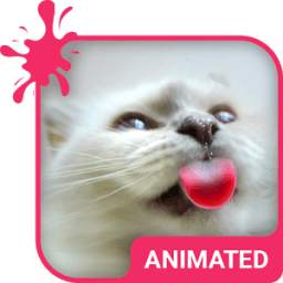 Cat Love Animated Keyboard