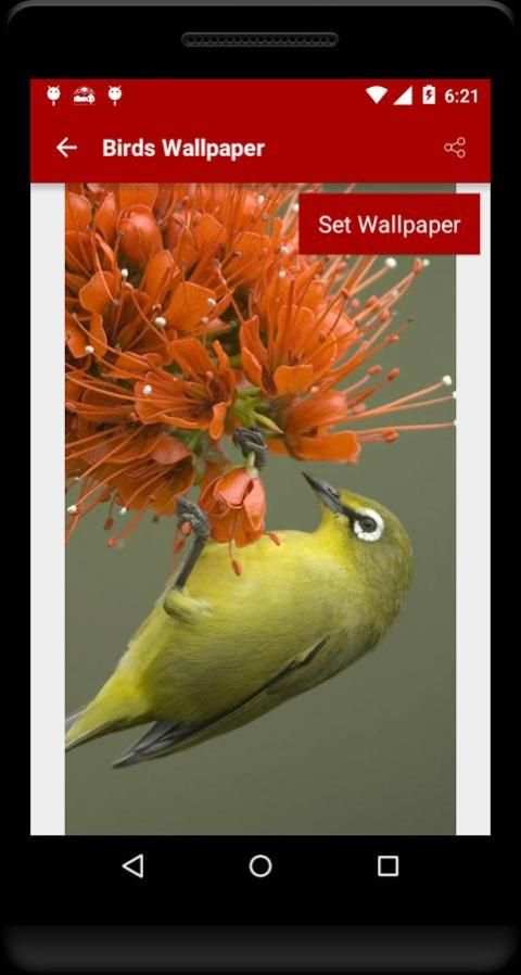 Birds Wallpaper स्क्रीनशॉट 2