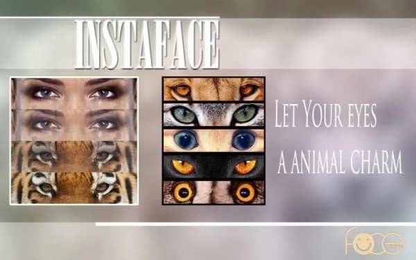InstaFace : face morphing 18 تصوير الشاشة