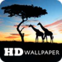 Free HD Wallpaper on 9Apps
