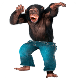 Talking Monkey иконка