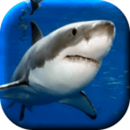 ferocious shark icon