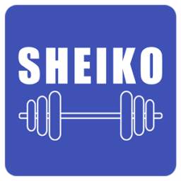 Sheiko Powerlifting Workout