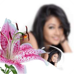 PIP Photo Effects 1.3