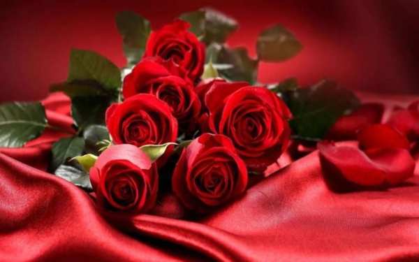 Valentine Roses live wallpaper स्क्रीनशॉट 2