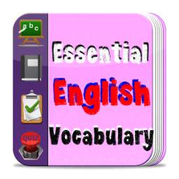 Essential English Vocabulary 1.1
