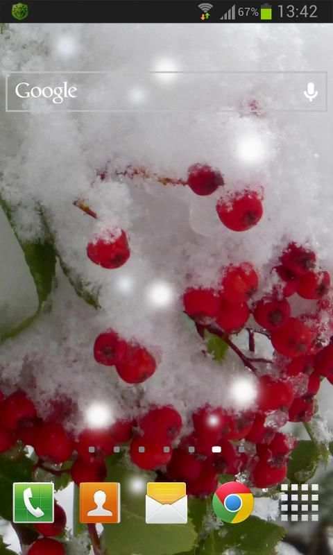 Winter Berry Live Wallpaper screenshot 2