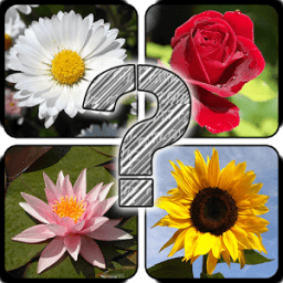 Guess The Flowers: Quiz أيقونة