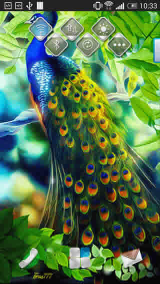 Peacock Live Wallpaper स्क्रीनशॉट 4