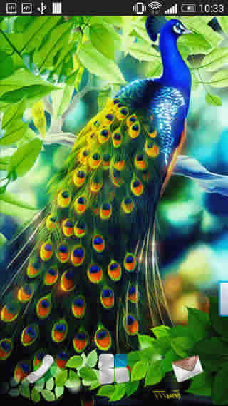 Peacock Live Wallpaper स्क्रीनशॉट 3