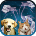 Cat + Dog Sound effects icon
