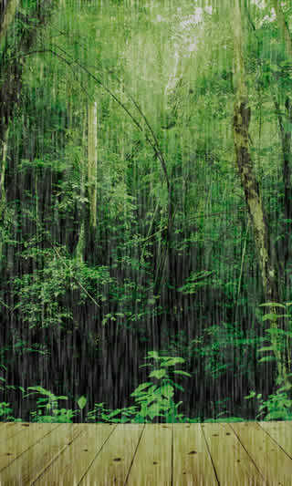 Rainy Photos screenshot 2