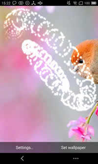 Cute Bird Live Wallpaper screenshot 3