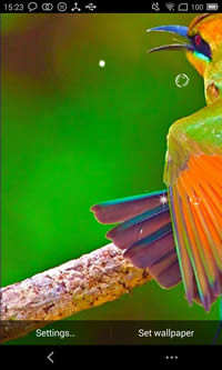 Cute Bird Live Wallpaper screenshot 1