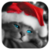 Christmas Cards icon