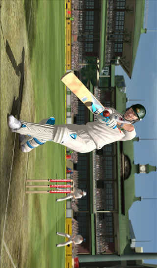 Cricket 2013 - New Game screenshot 3