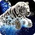 3D Tiger 1.51