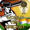 World T20 Cricket 2014