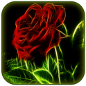 Flower live wallpapers icon