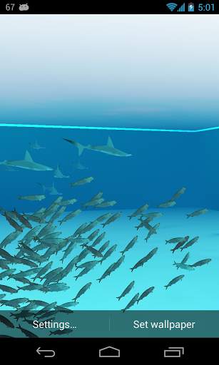 3D Shark Live Wallpaper screenshot 1