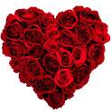 Valentine Live Wallpaper 10000.10