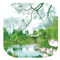 3D Lotus Pond Live Wallpaper icon