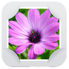Gallery &amp; Photo Editor أيقونة