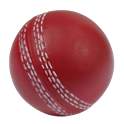 T20 Cricket Live TV 1.1
