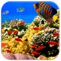 3D Fish live wallpaper icon